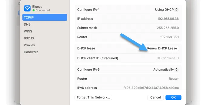 Cách khắc phục lỗi ERR_CONNECTION_RESET trong WordPress 28 Nhấp vào button "Renew DHCP Lease"
