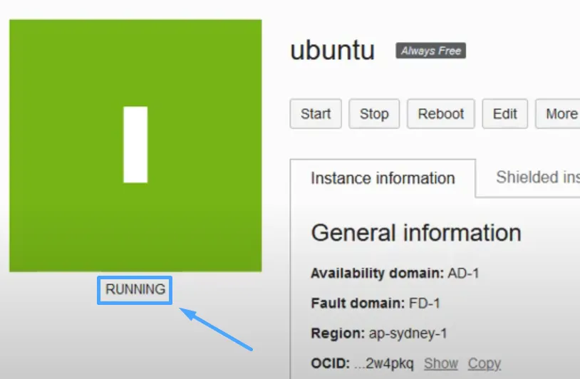Giới thiệu Ubuntu Server 18.04 - Cài đặt nâng cấp Ubuntu Server 18.04 LTS 90 Kiểm tra trạng thái VPS được tạo - Running