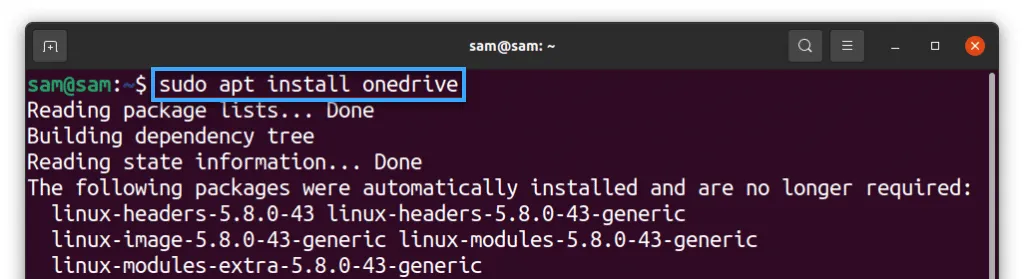 Cách sử dụng OneDrive trong Linux đơn giản nhất 21 Cài đặt OneDrive