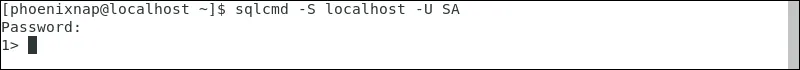 Hướng dẫn cài đặt và sử dụng SQL Server trên Linux 44 Nhập mật khẩu admin để vào server