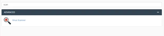 3 cách quét virus trên hosting sử dụng cPanel an toàn, bảo mật 16 Chọn Virus Scanner để bắt đầu quá trình quét virus