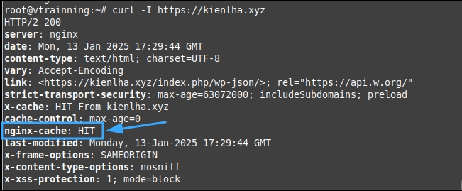 Cấu hình NGINX FastCGI Cache trên aaPanel: Tăng tốc website WordPress hiệu quả 25 Kiểm tra lại sau khi cấu hình NGINX FastCGI Cache trên aaPanel