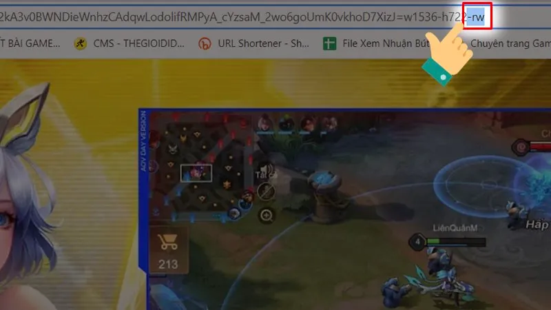 WebP là gì? Lợi ích, cách dùng & chuyển đổi ảnh WebP 38 Chuyển đổi ảnh bằng cách chỉnh URL