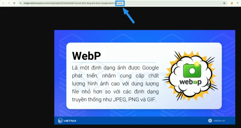 WebP là gì? Lợi ích, cách dùng & chuyển đổi ảnh WebP 34 Kiểm tra URL của ảnh trong thanh địa chỉ